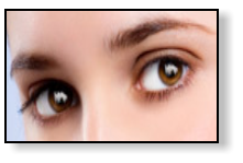 Beautiful Eyes Retouching Catch Light Brushes